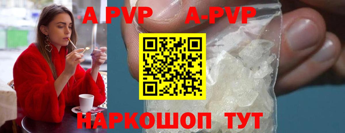 Alfa_PVP СК Темрюк