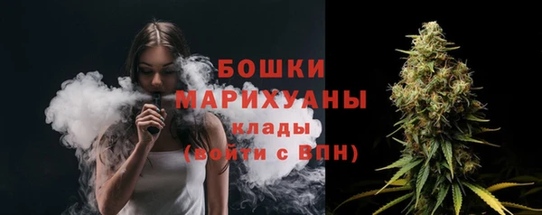 сатива Аркадак