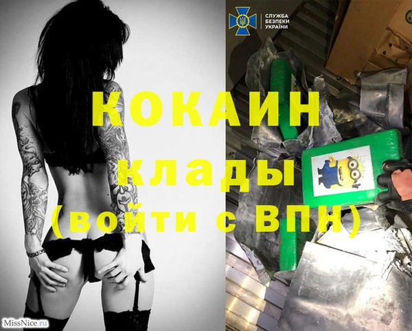 сатива Аркадак