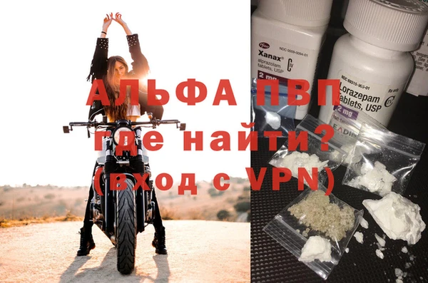 сатива Аркадак