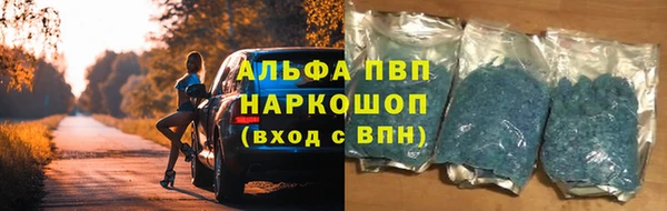 сатива Аркадак