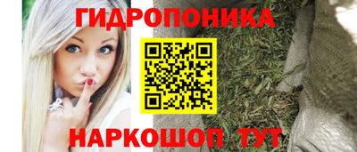 эйфоретик Кимры