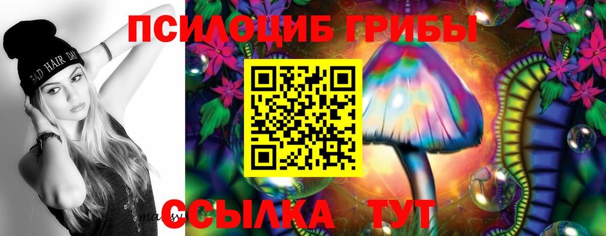 Псилоцибиновые грибы мицелий Темрюк