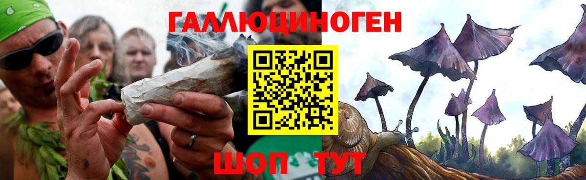 Галлюциногенные грибы Psilocybe  Галлюциногенные грибы MAGIC MUSHROOMS  Вход с VPN  Темрюк 